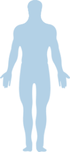 body parts